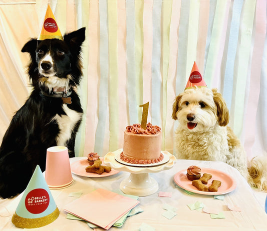 How to Throw a Birthday Party for Your Dog! Dog Birthday Cake & Party Ideas!