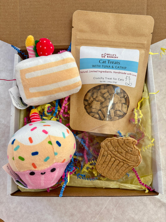 Cat Birthday Box with Treats and Pearhead toys