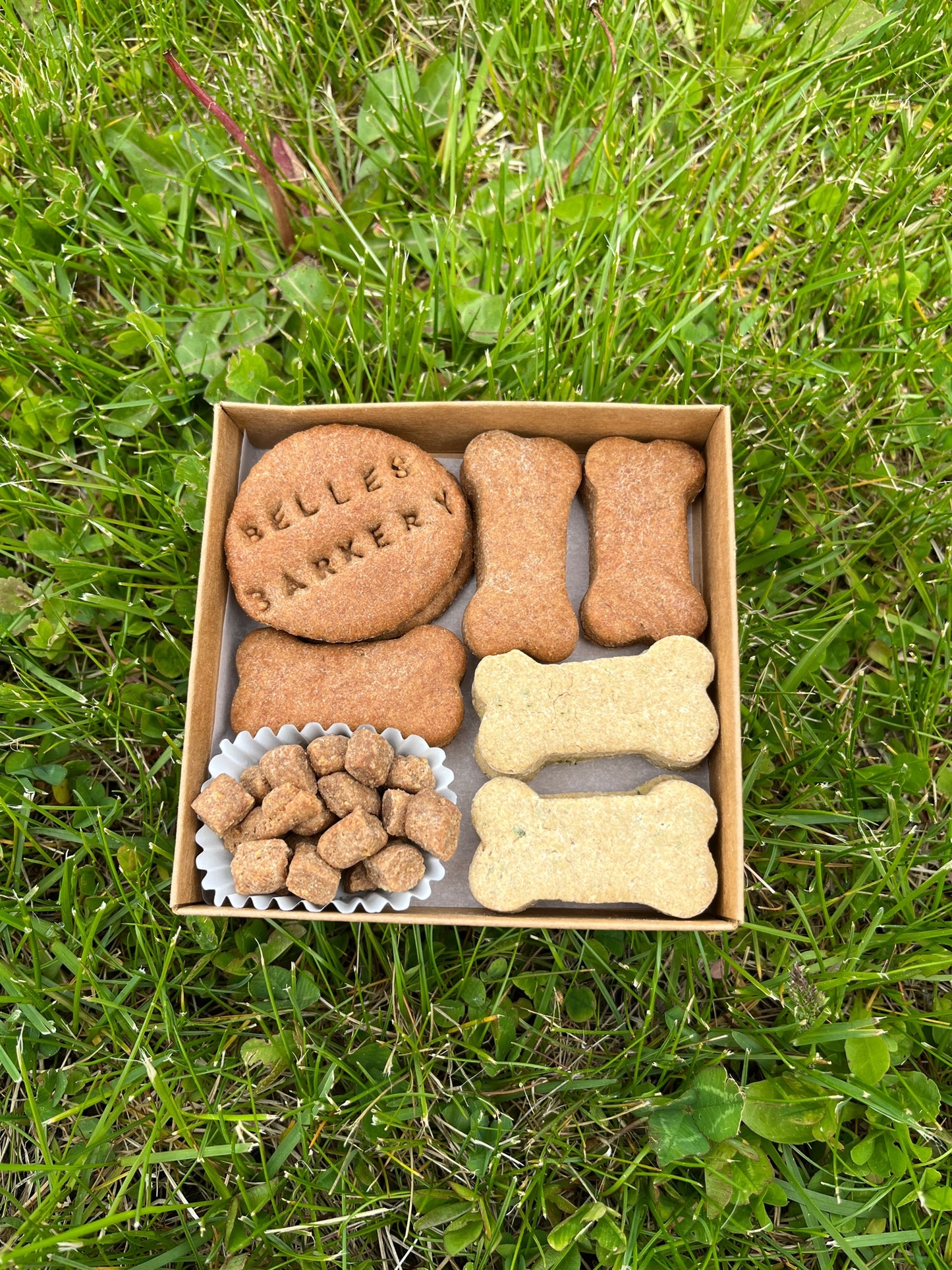 Barkcuterie Box of Dog Treats