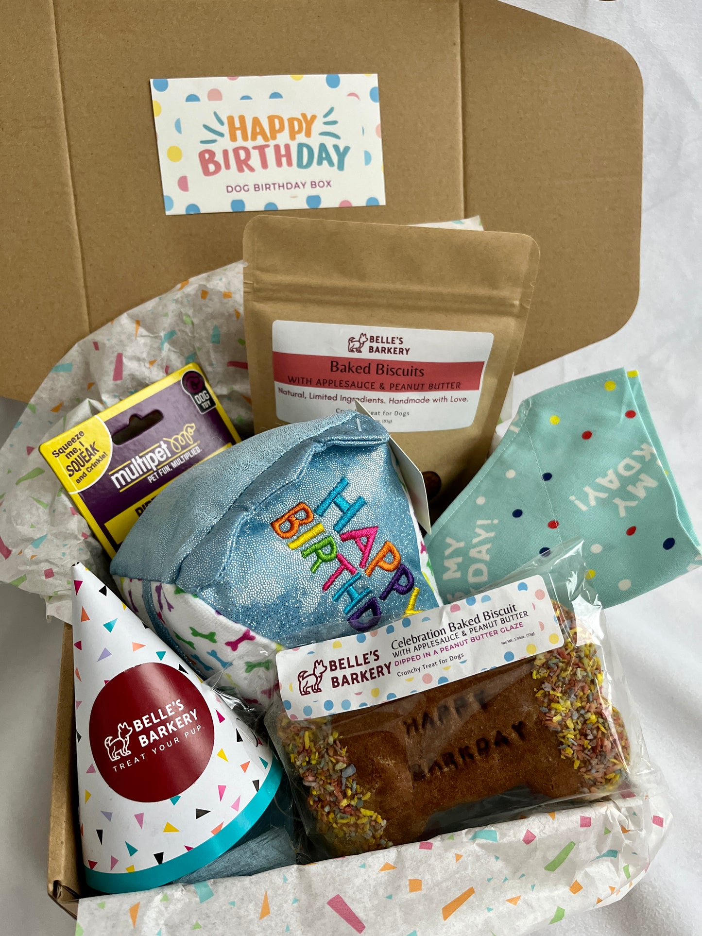 Birthday Box for Dogs - Blue