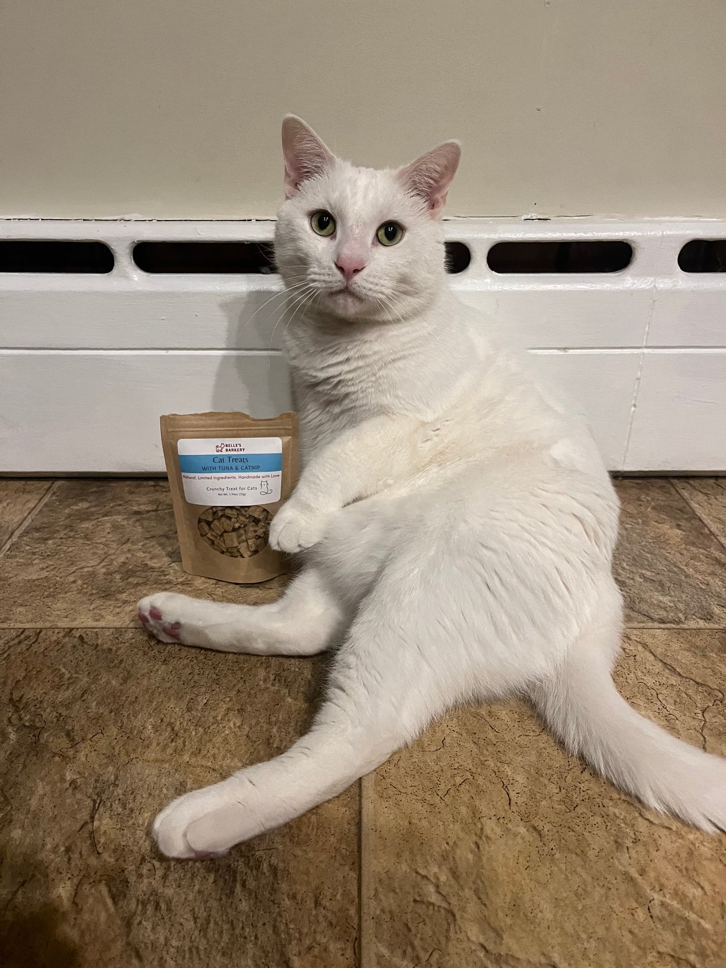 Cat with Treats