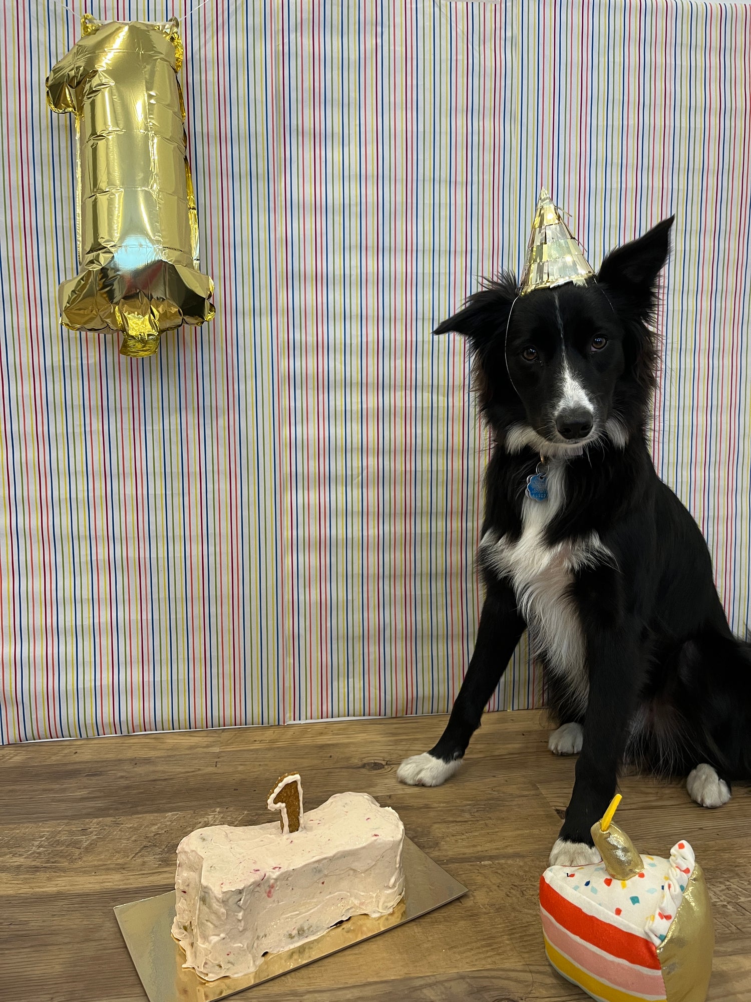 Belle's 1st birthday with birthday cake. 