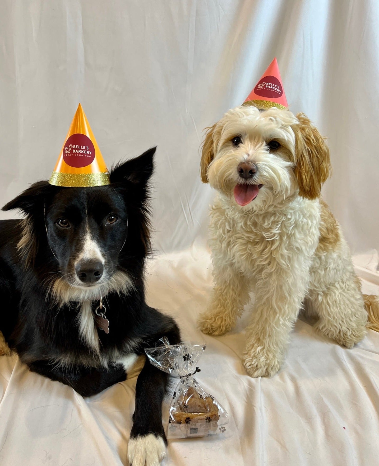 Two dogs with birthday hats are shown with a dog goody bag filled with treats.