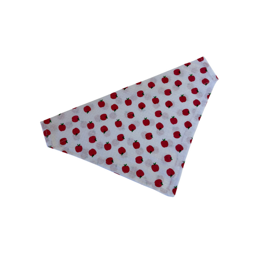 Apple Themed Dog Collar Bandana