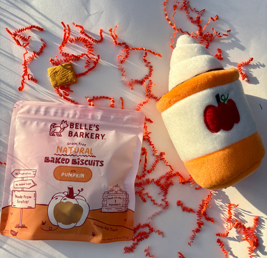 PSL (Pumpkin Spice Latte!) Toy and Treat Bundle for Dogs