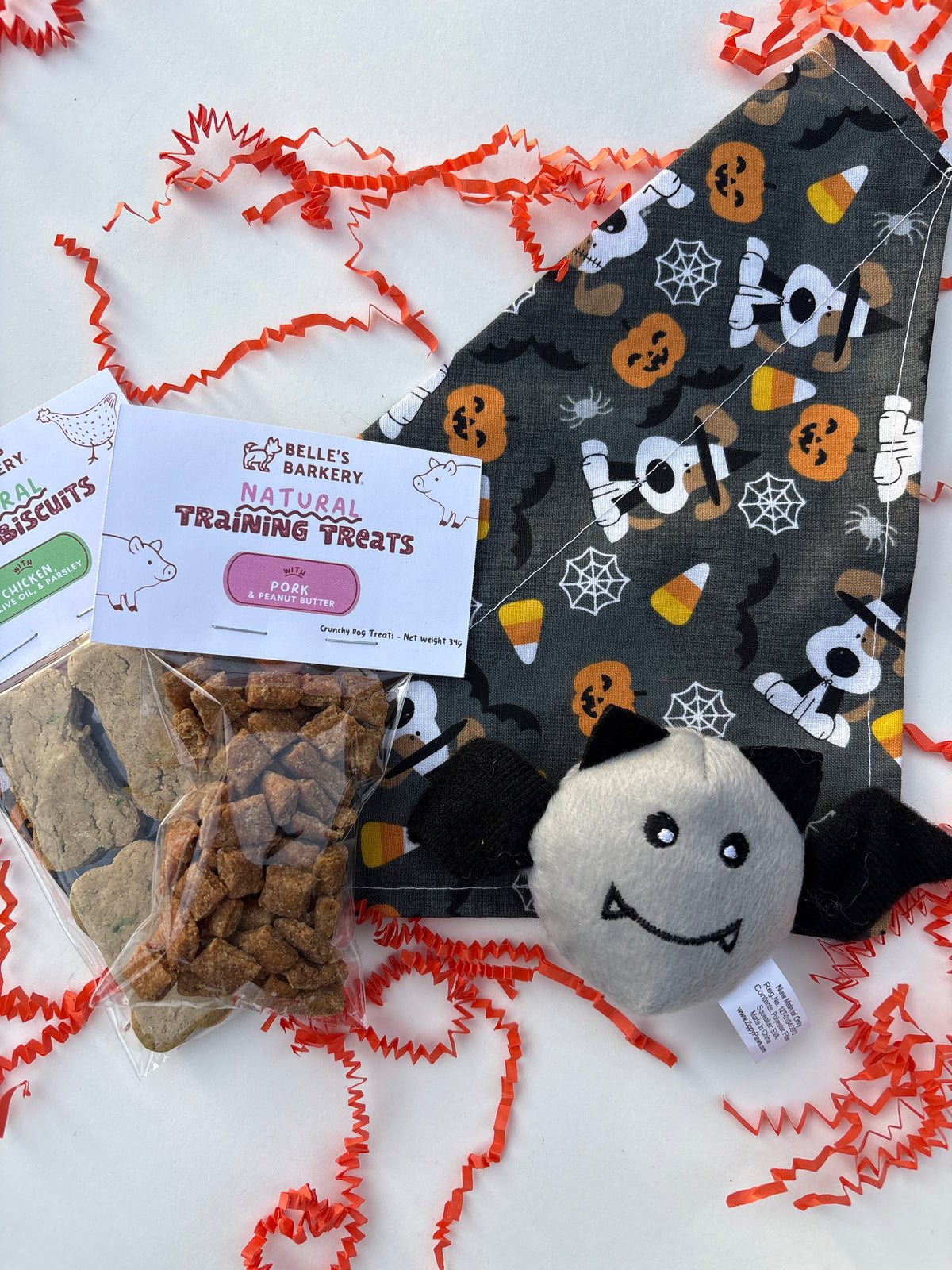 Halloween Bundle- Toy, Handmade Bandana, & Treats for Dogs