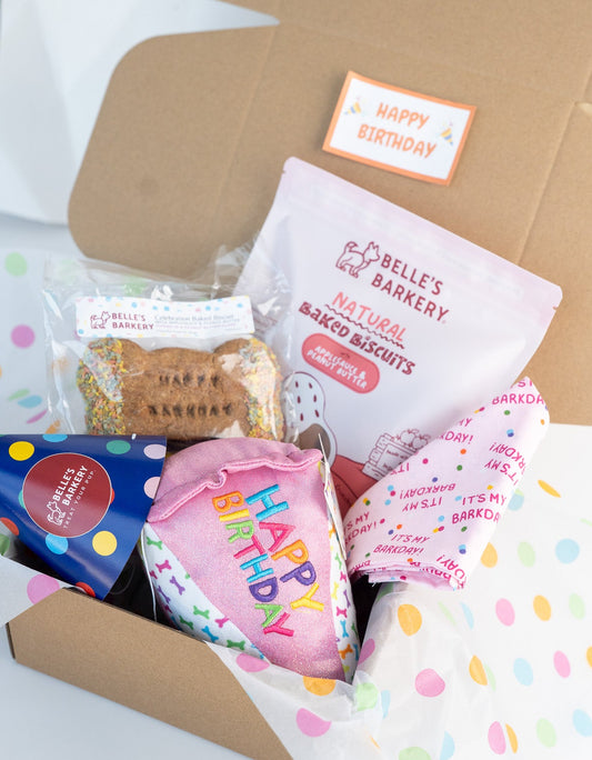 Birthday Box for Dogs - Pink
