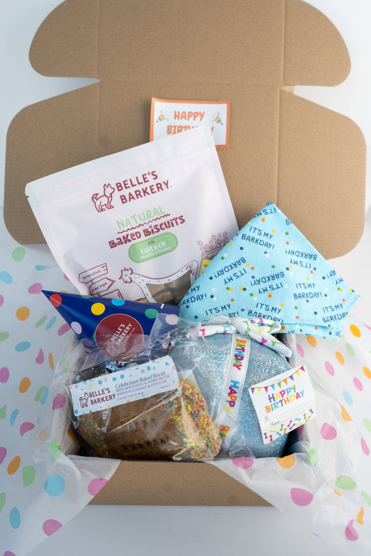Birthday Box for Dogs - Blue