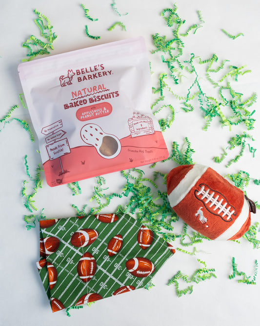Football Bundle- Toys, Treats, & Handmade Bandana for Dogs