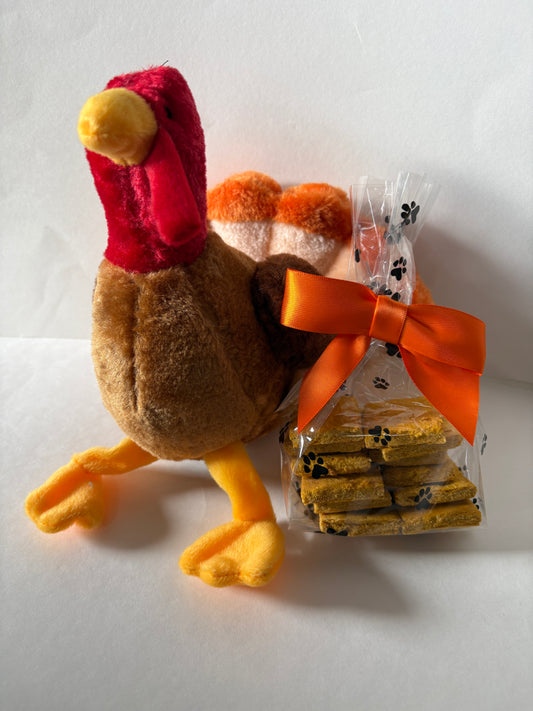 Turkey Dog Toy & Tasty Pumpkin Dog Treats