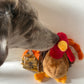 Turkey Dog Toy & Tasty Pumpkin Dog Treats