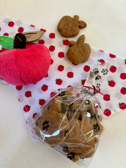 FALL in Love - Limited Edition Apple Bundle, Toy, Bandana, & Treats!