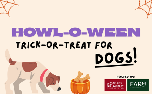 Howl-o-ween Trick-or-Treat for Dogs Banner