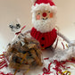 Bag of dog treats with a Santa Claus toy and decorative paper in the background