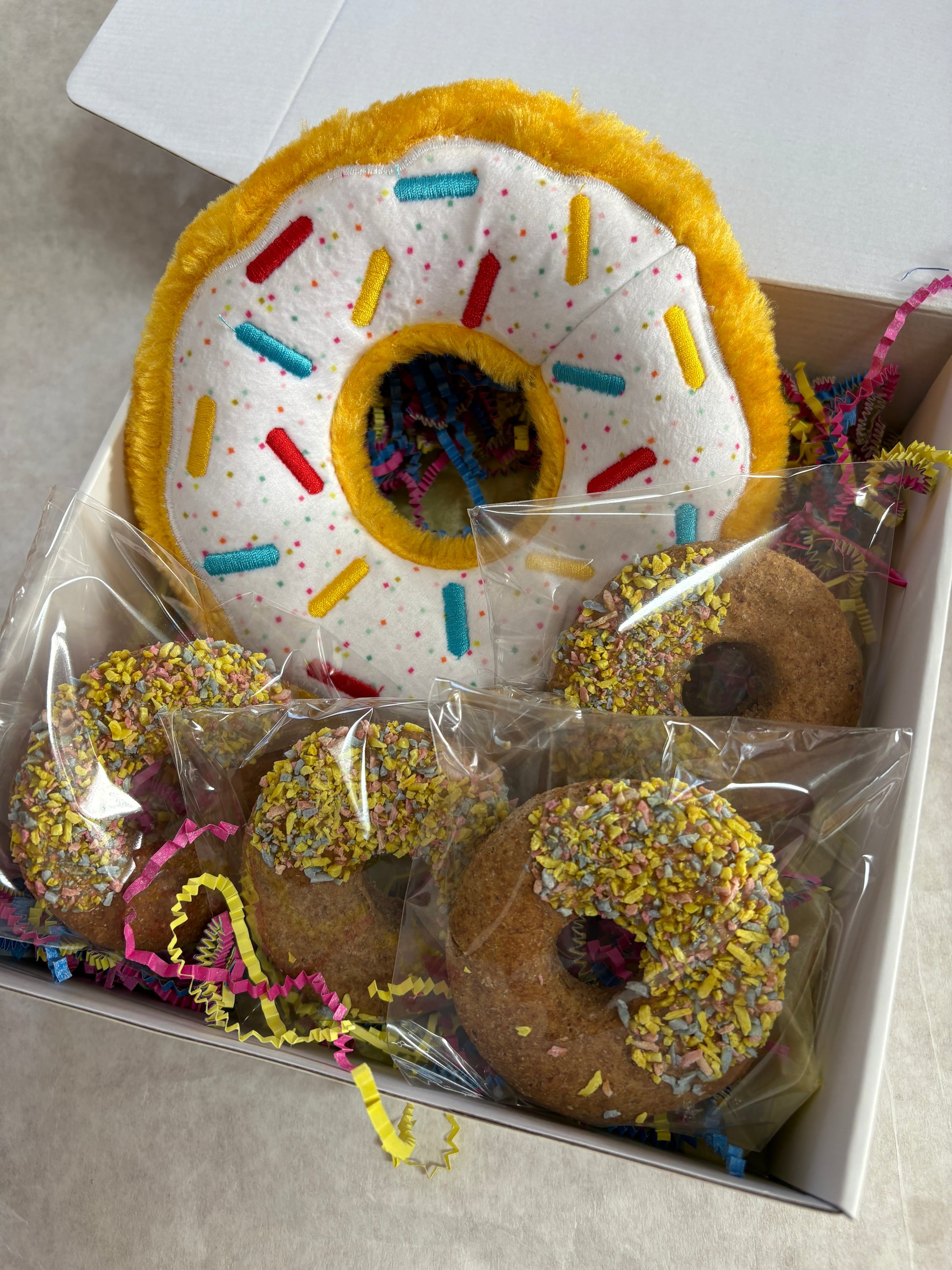 Dog Donut Box with four donut treats