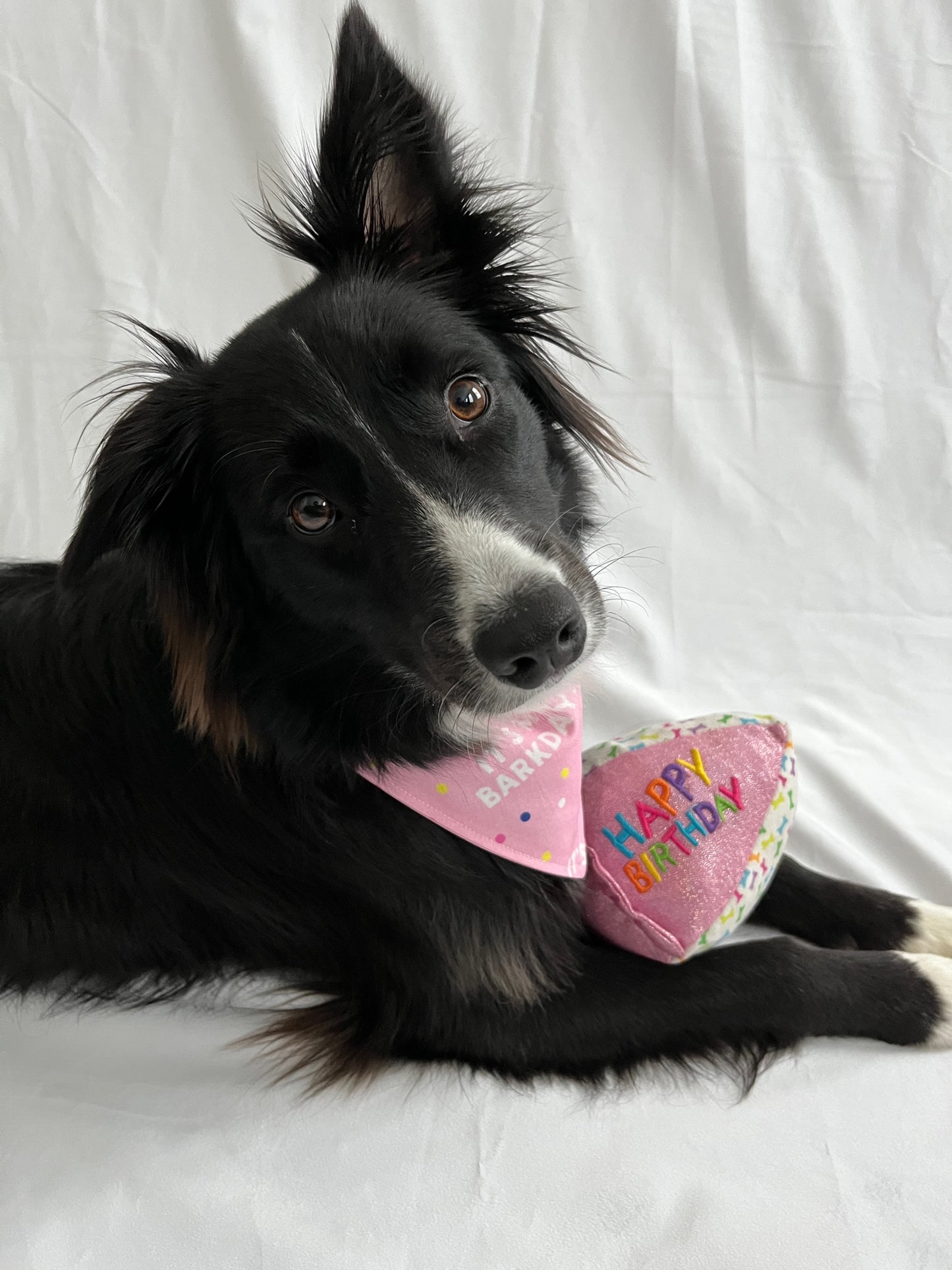 "It's My Barkday" Birthday Bandana for Dog