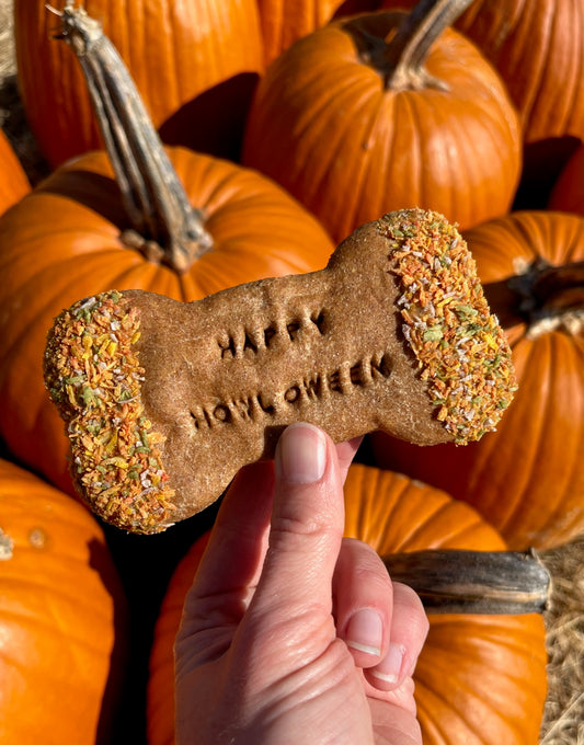 Halloween Celebration Baked Biscuits with Applesauce & Peanut Butter treat for Dogs