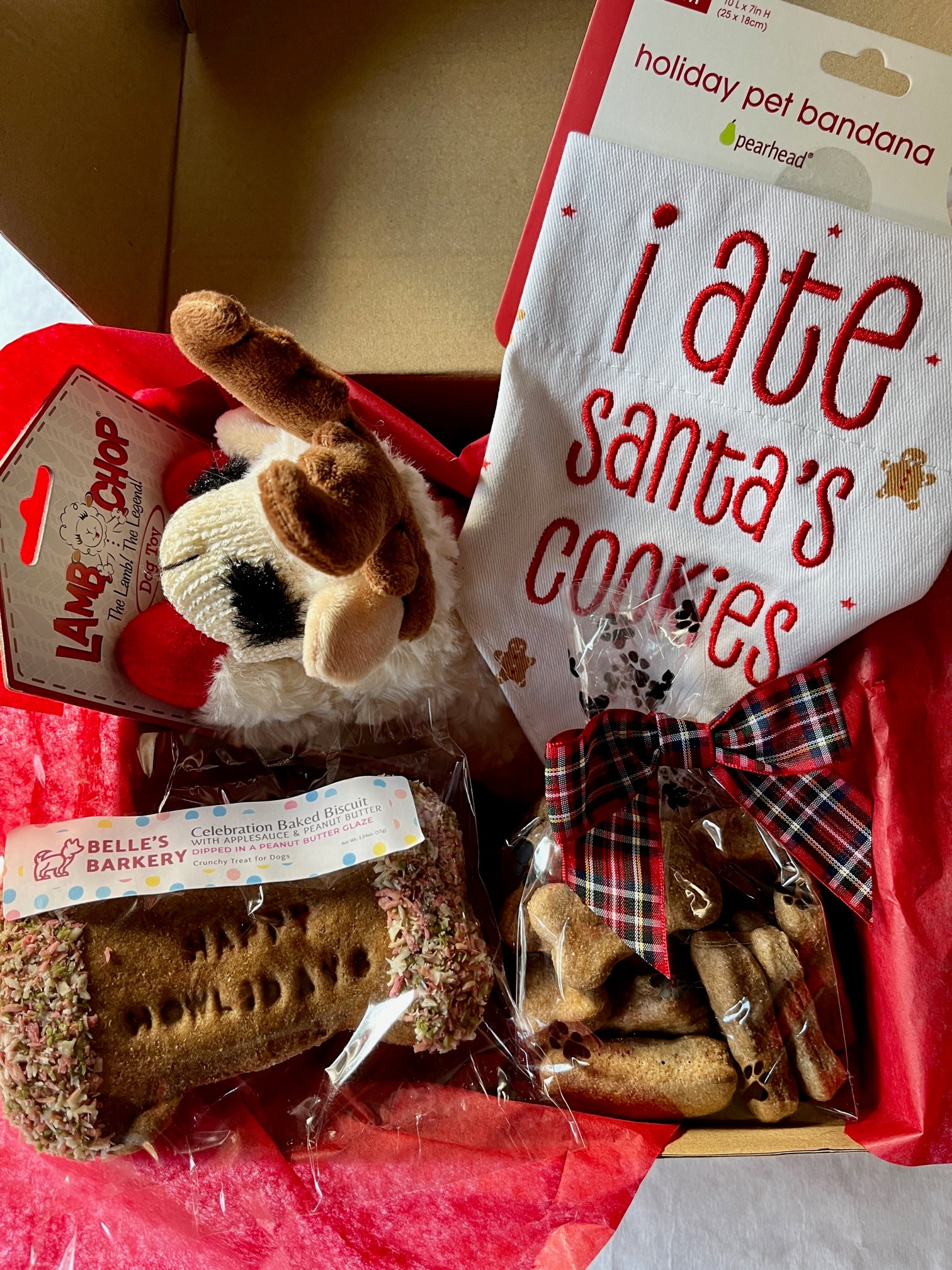 Holiday Celebration Box for Dogs