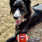 Toy Football for Dogs