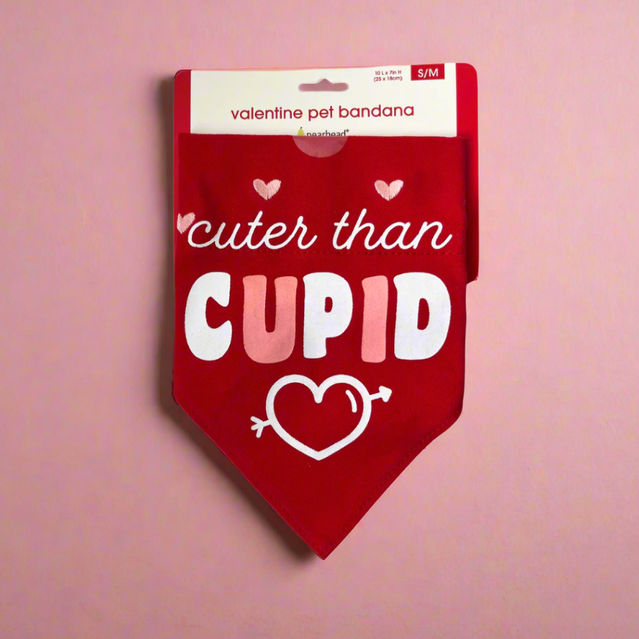 Valentine Cuter than Cupid Dog Bandana