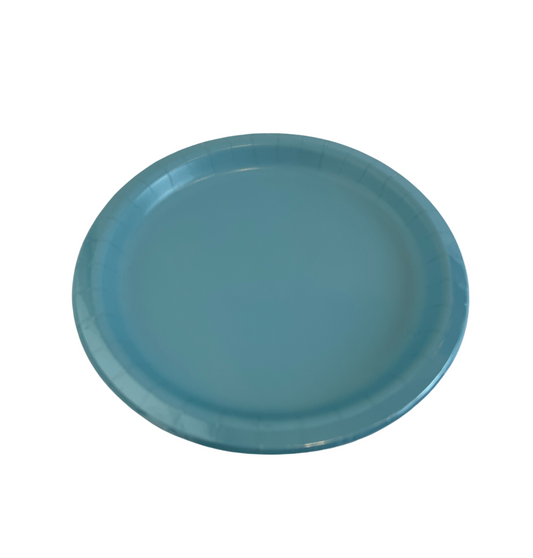 Picture of blue paper plate.