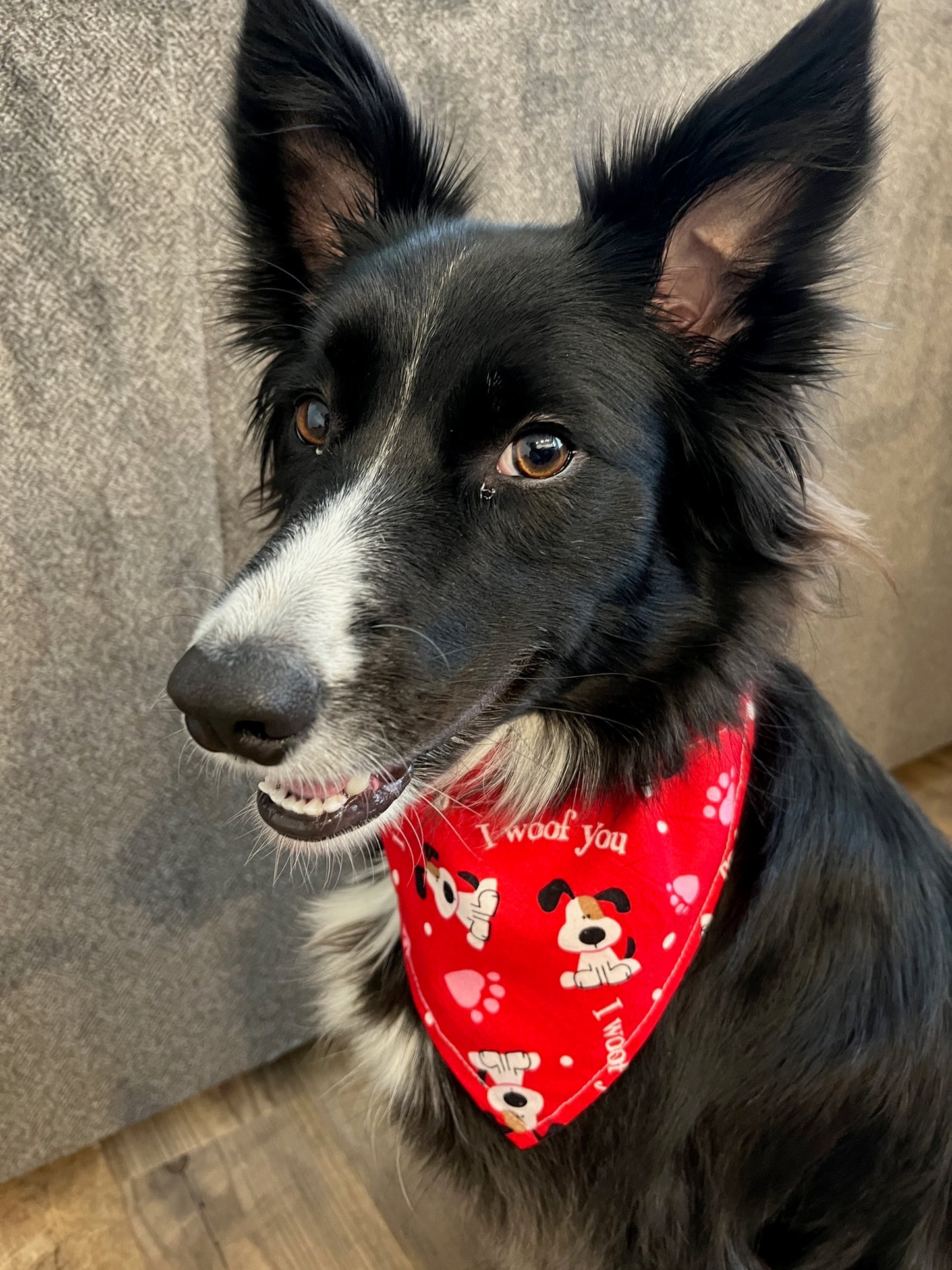 Handmade "I Woof You" Valentine's Day Bandana