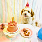 Dog having a birthday party. Custom dog cake with pink icing is decorated with a gold glitter "one" number cake topper. 