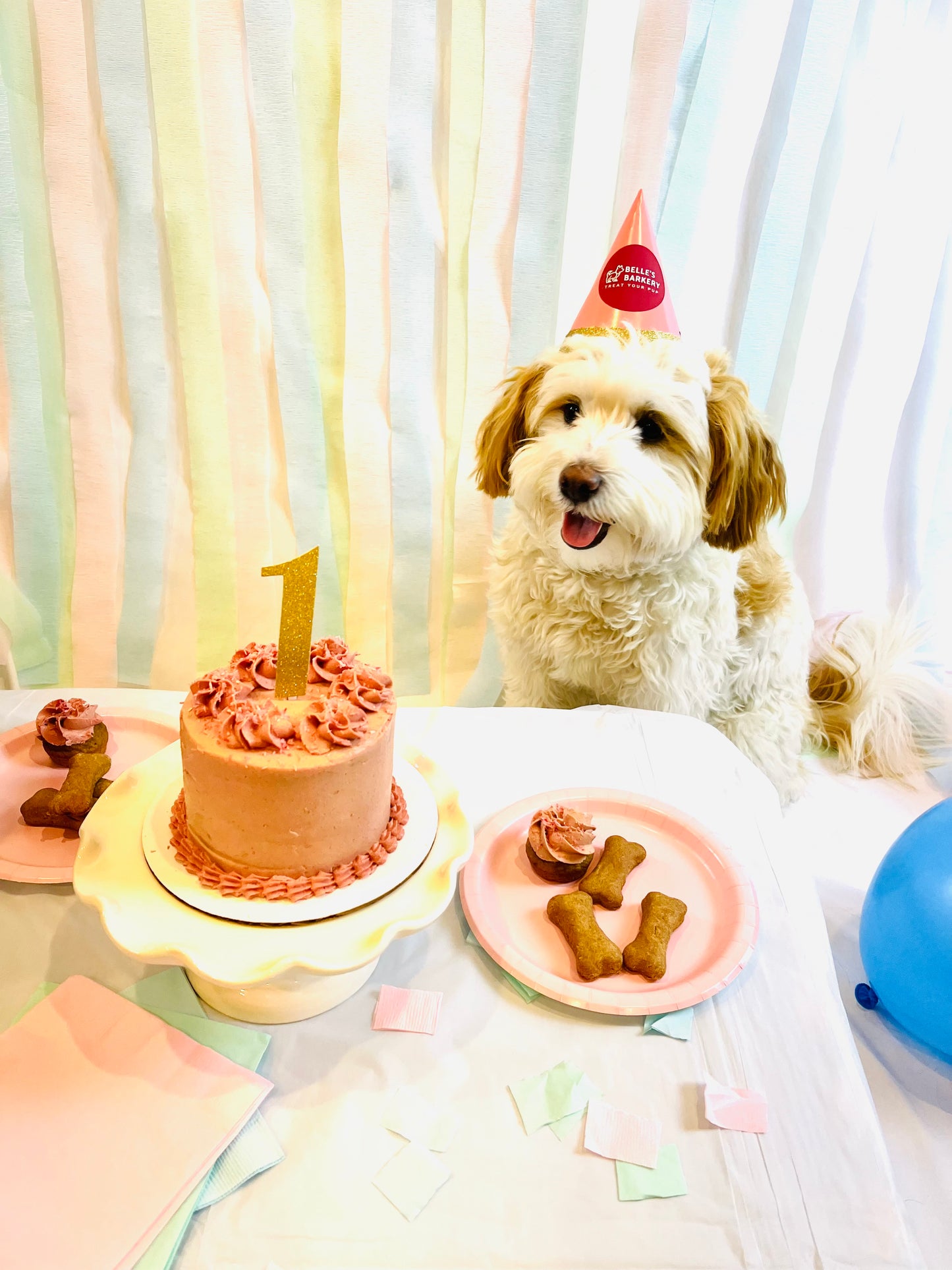 Dog having a birthday party. Custom dog cake with pink icing is decorated with a gold glitter "one" number cake topper. 