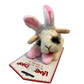 Easter bunny Lamb Chop dog toy- 6"